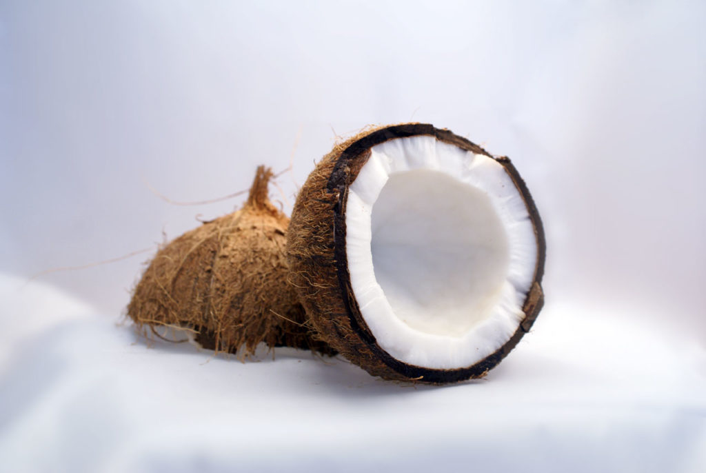 Best Coconut Oil for Dogs