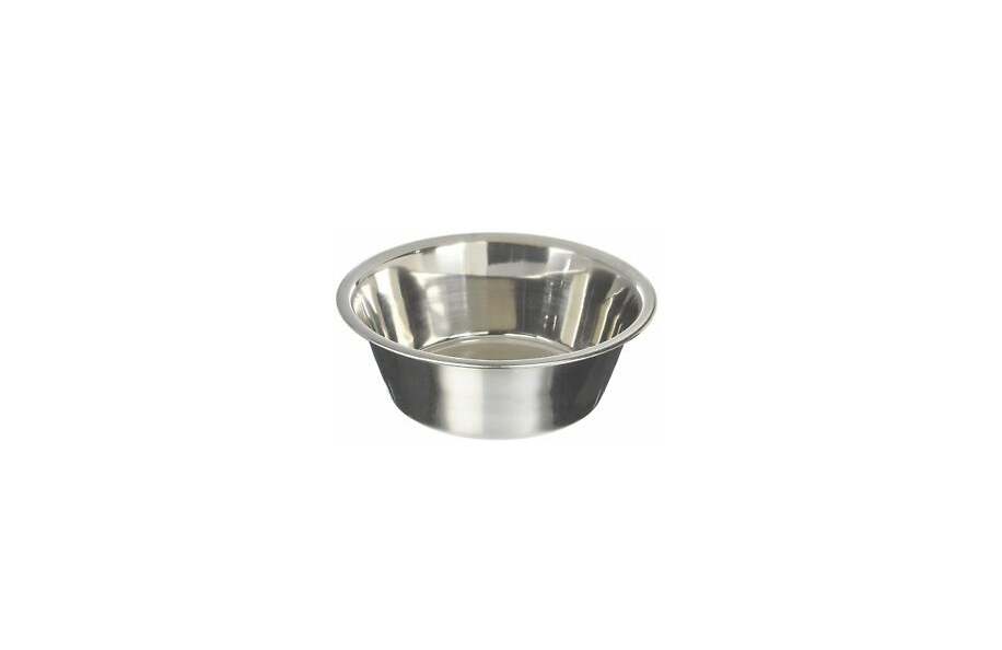 Best Dog Water Bowl