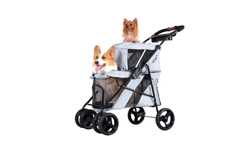 medium dog stroller
