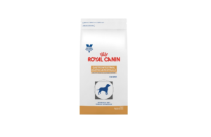 Dog Food for Dogs with Sensitive Stomachs
