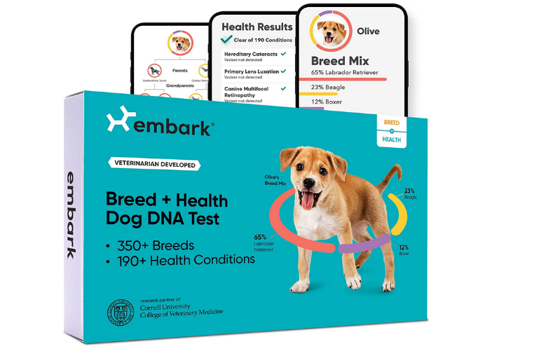 Best dog DNA Test Kits