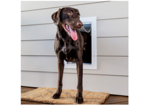 Best Weatherproof dog doors