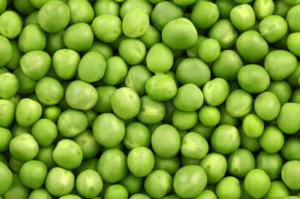 Dog food without peas