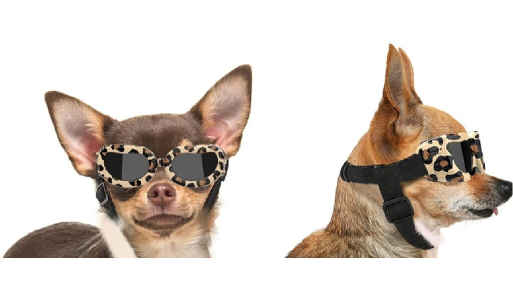  Lewondr Dog Sunglasses Small Breed Dogs Goggles UV Protection