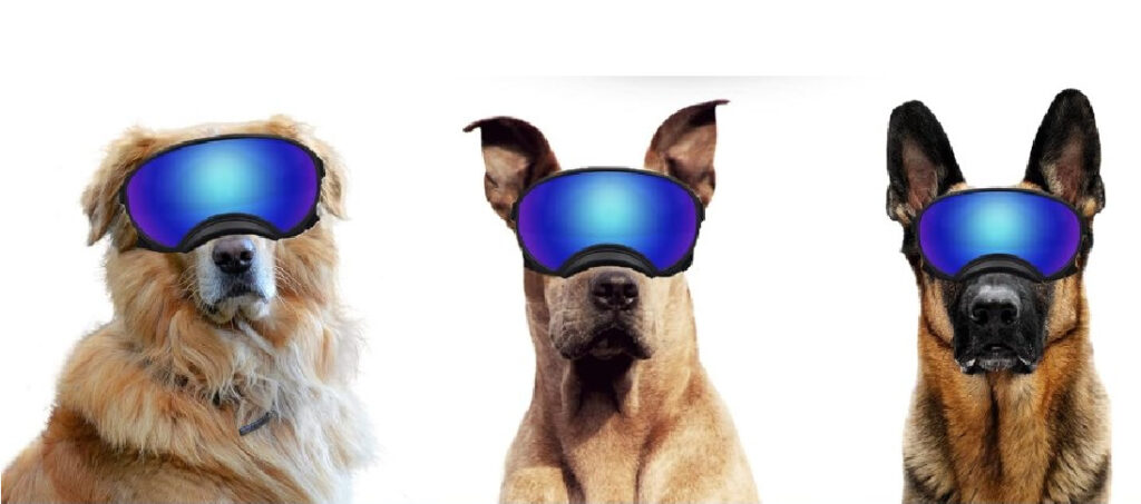 NICERINC Large Dog Motorcycle Goggles / Sunglasses