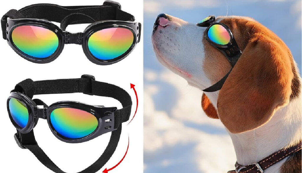  QUMY Dog Sunglasses Dog Goggles for Medium Large Breed Dogs, Wind Dust Fog Protection Eye Wear Pet Glasses with Adjustable Strap