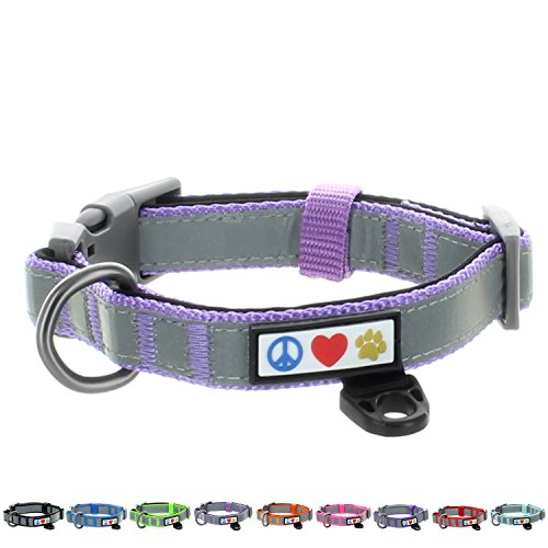 Top 10 Best Dog Collar Brands Best Dog Collars Review