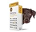 Dna My Dog - Canine Breed Identification Test Kit - at-Home Cheek Swab Kit - Personality Traits