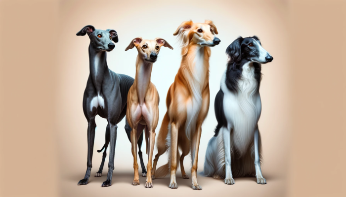 tally skinny dog breeds