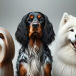 dog breeds that start with s